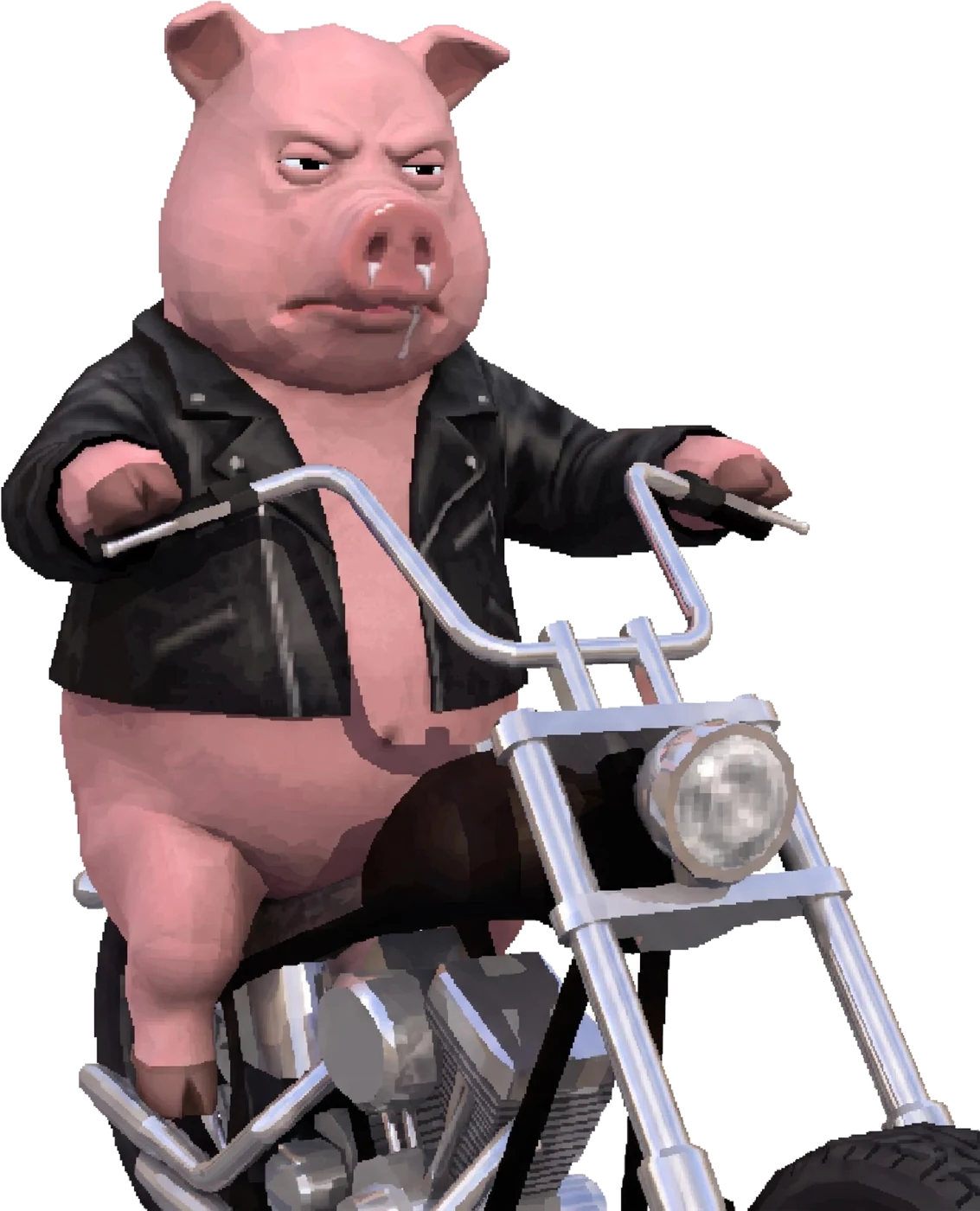 HOG, a fat pig in a leather jacket on a chopper